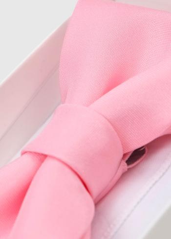 Rozā vīriešu tauriņš - back