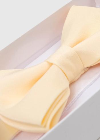 Dzeltens vīriešu tauriņš - back