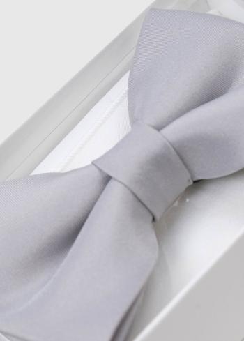 Gaišī pelēks vīriešu tauriņš - back