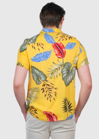 Ottorino dzeltens vīriešu krekls ar rakstu - back