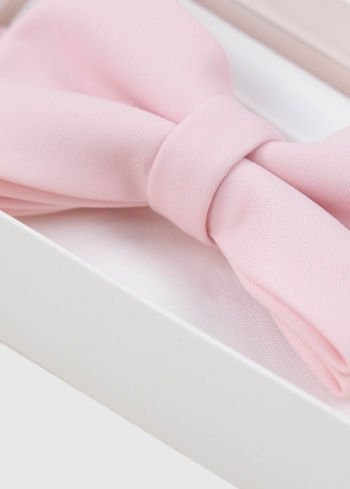 Gaiši rozā vīriešu tauriņš - back