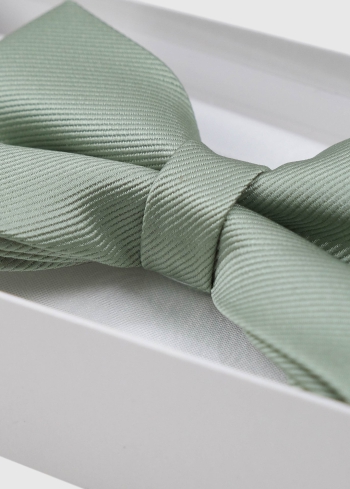 Gaiši zaļa vīriešu tauriņš - back