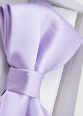 Gaiši violeta vīriešu tauriņš - back