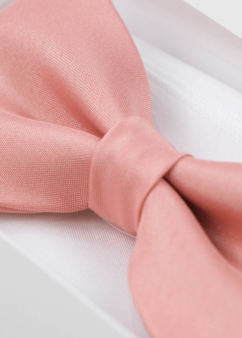 Rozā vīriešu tauriņš - back