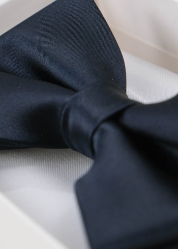 Tumši zila vīriešu tauriņš - back