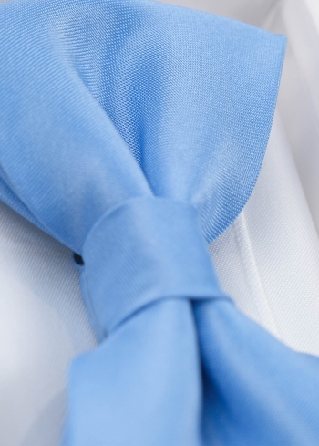 Gaiši zila vīriešu tauriņš - back