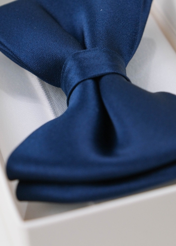 Zils vīriešu tauriņš - back