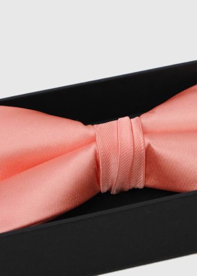 Bence oranžs vīriešu tauriņš - back