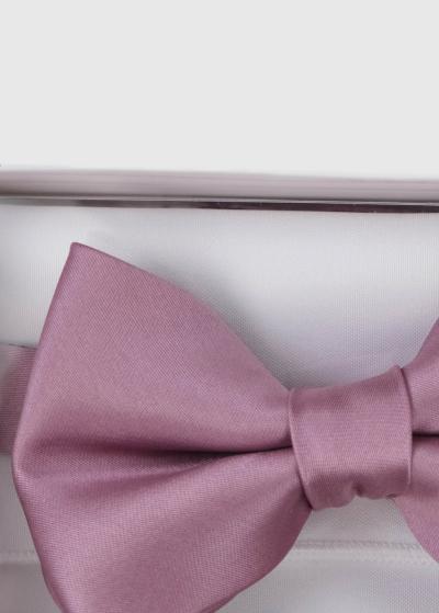 Gaiši violets vīriešu tauriņš - back