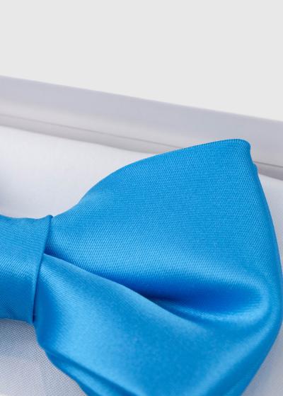 Zils vīriešu tauriņš - back