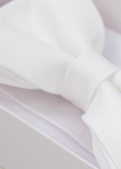 Balts vīriešu tauriņš - back