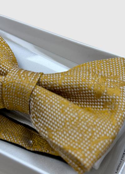 Tumši dzeltens vīriešu tauriņš - back