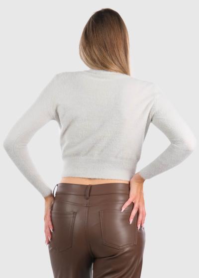 Hermine pelēka bītlene - back