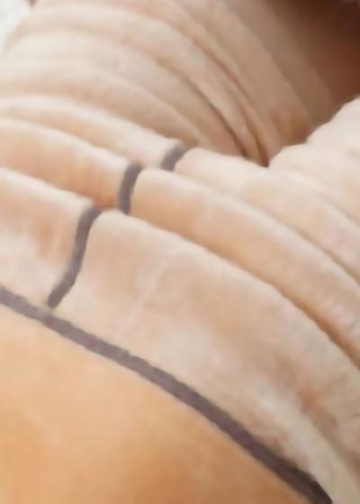 Yurida siltas zeķubikses - back