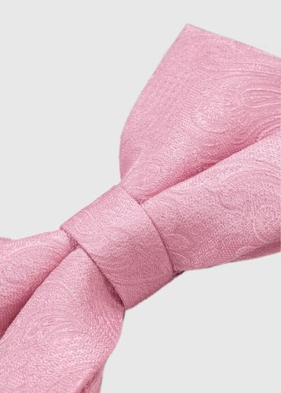 Rozā vīriešu tauriņš - back