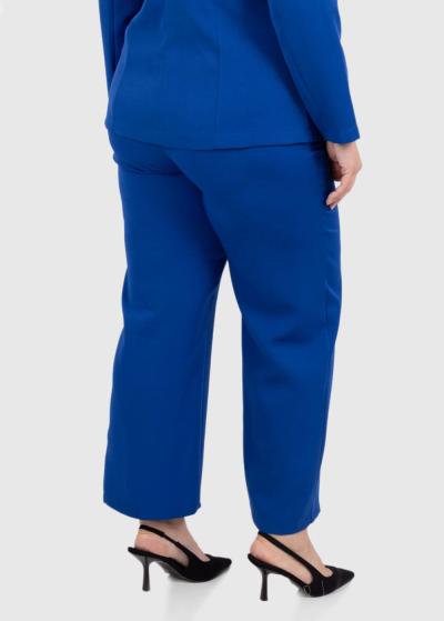 Alien Lielo izmēru zilas bikses ar kabatām - back