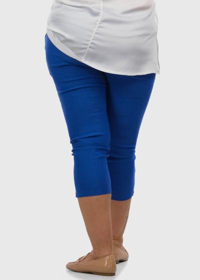 Cansu Lielo izmēru zilas saīsinātas bikses - back