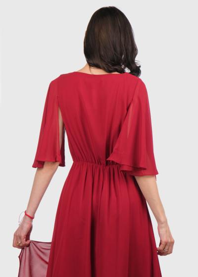 Erika sarkana gara vakarkleita - back