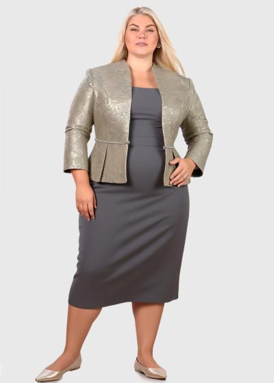 Delphia Lielo izmēru pelēka vakarkleita ar žaketi  - back