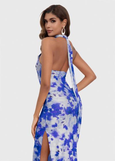 Jale zila gara vakarkleita ar rakstu - back