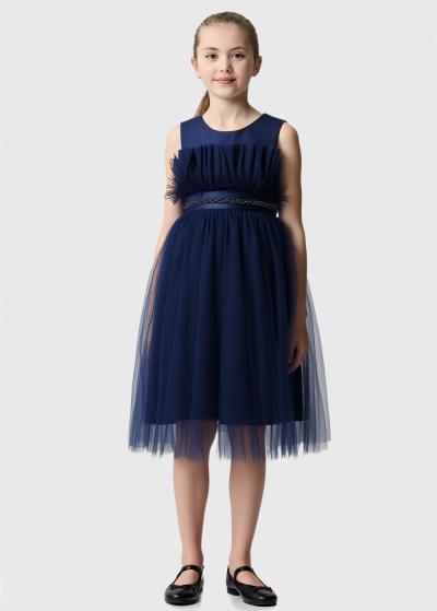 Kisha tumši zila kleita - back