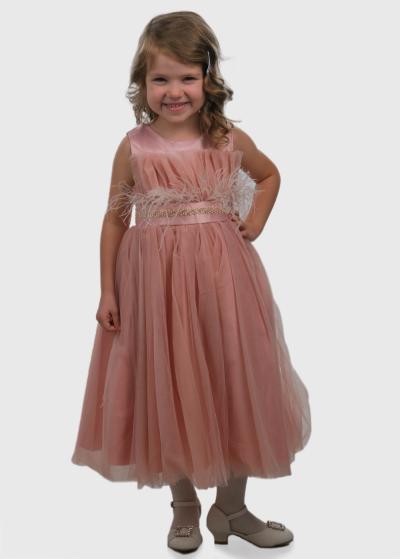 Kisha rozā kleita - back