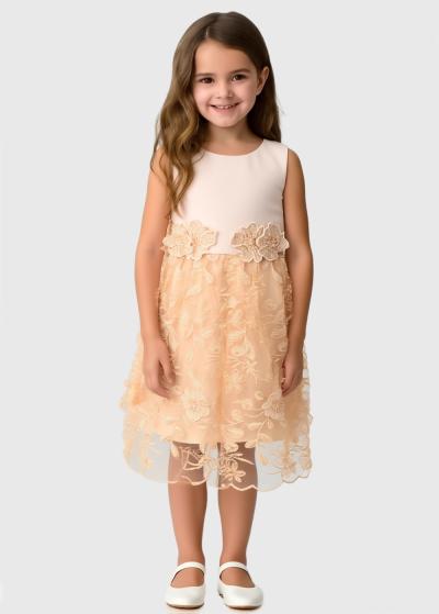 Kamile zelta kleita ar rāvējslēdzēju - back