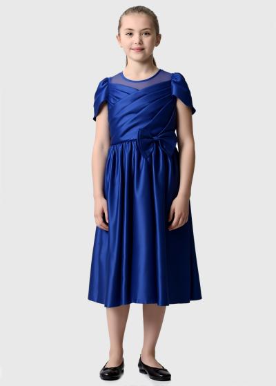 Keres zila kleita ar rāvējslēdzēju - back