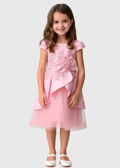 Tristessa rozā kleita ar rāvējslēdzēju - back