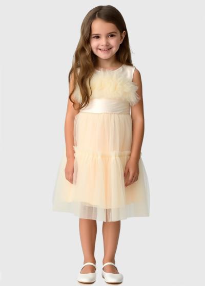 Katare bēša kleita - back