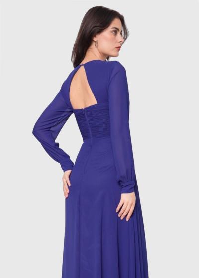 Stasis zila gara vakarkleita - back