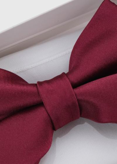 Bordo vīriešu tauriņš - back