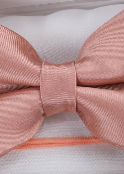 Bēšs vīriešu tauriņš - back