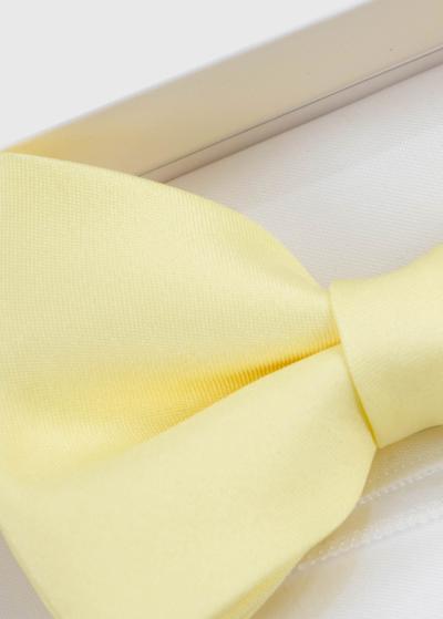 Dzeltens vīriešu tauriņš - back