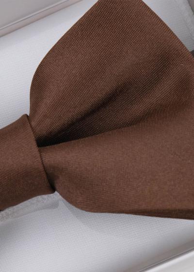 Brūns vīriešu tauriņš - back