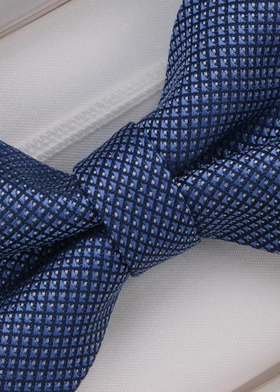 Zils vīriešu tauriņš - back