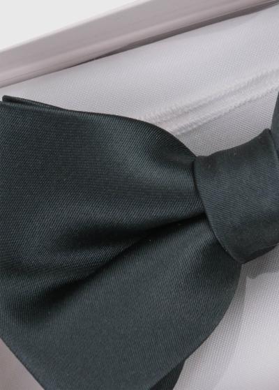 Vīriešu tauriņš - back