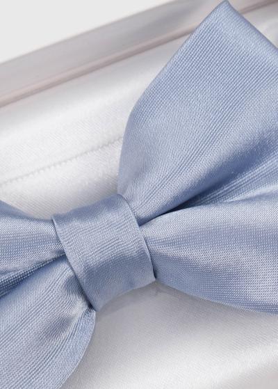 Gaiši zils vīriešu tauriņš - back