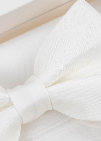 Balts vīriešu tauriņš - back