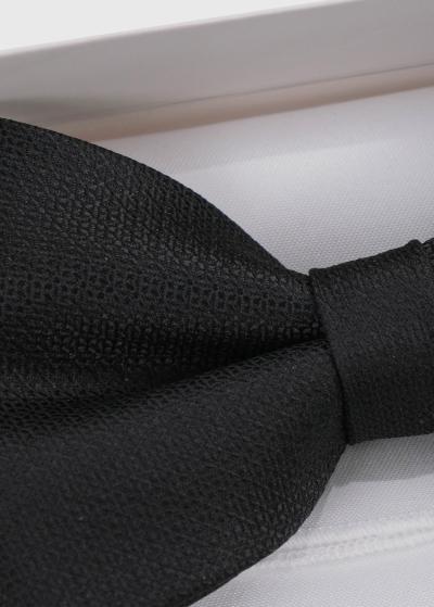 Melns vīriešu tauriņš - back