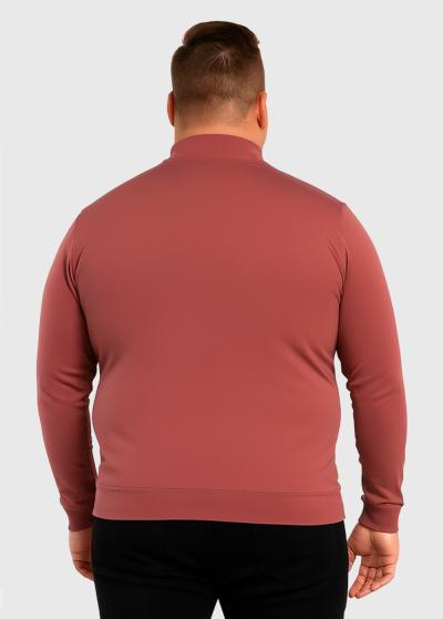 Leks vīriešu džemperis ar rāvējslēdzēju - back