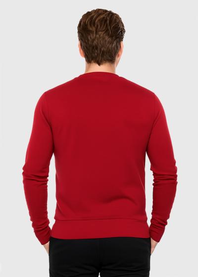 Samuele vīriešu džemperis - back