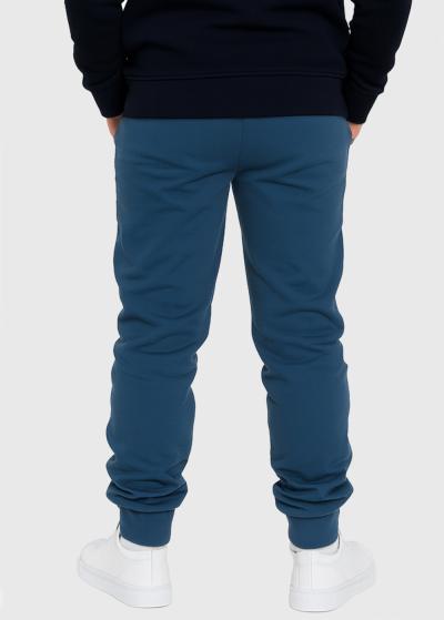 Dareios zili džogeri - back