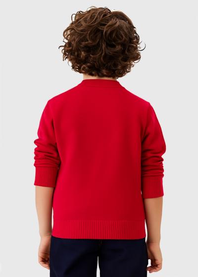 Ame sarkans džemperis - back