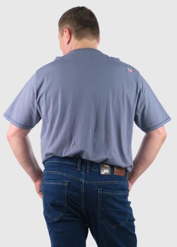 Euclide Lielo izmēru vīriešu t-krekls ar rakstu - back