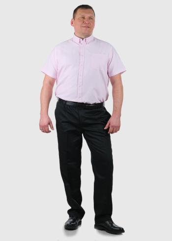 Raul Lielo izmēru gaiši rozā krekls ar īsām piedurknēm - back