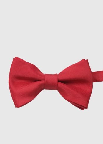 Sarkans vīriešu tauriņš - back