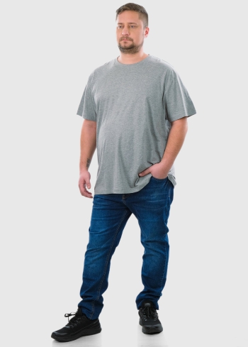 Aurelio Lielo izmēru pelēks vīriešu t-krekls - back