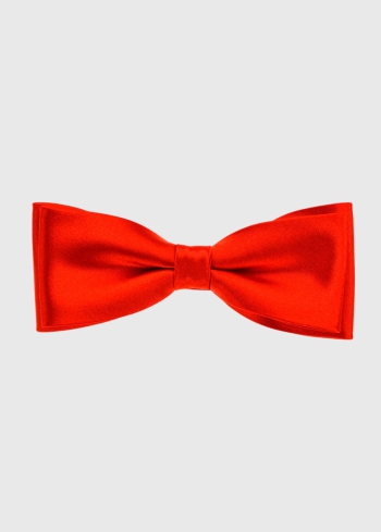 Sarkans vīriešu tauriņš - back