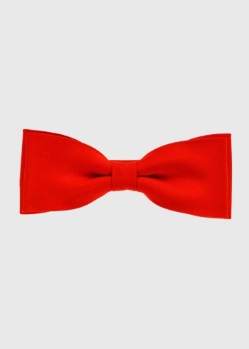 Sarkans vīriešu tauriņš - back